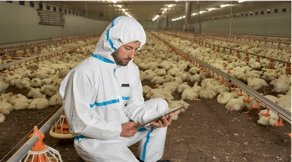 Satış sonrası destek hizmeti görseli